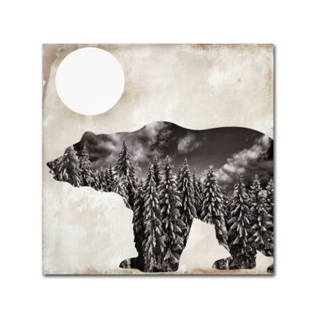 Trademark Fine Art Color Bakery 'Going Wild VI' Canvas Art, 14x14 ALI5017-C1414GG